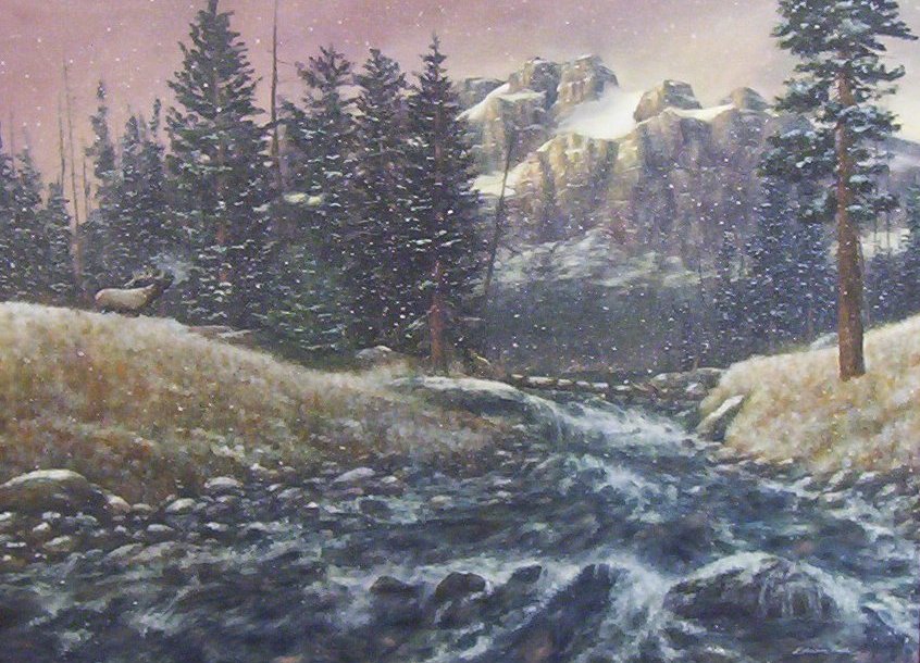 Edwin Tuts - Rockey Mt. Elk